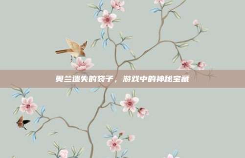 奥兰遗失的袋子，游戏中的神秘宝藏