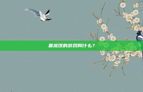 最流氓的游戏叫什么?