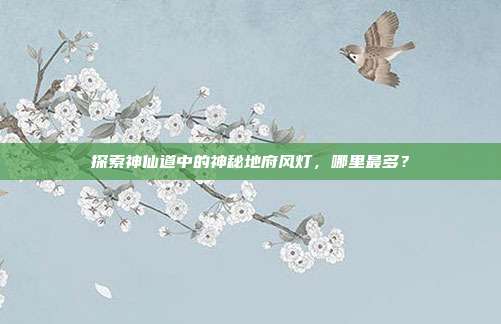 探索神仙道中的神秘地府风灯，哪里最多？