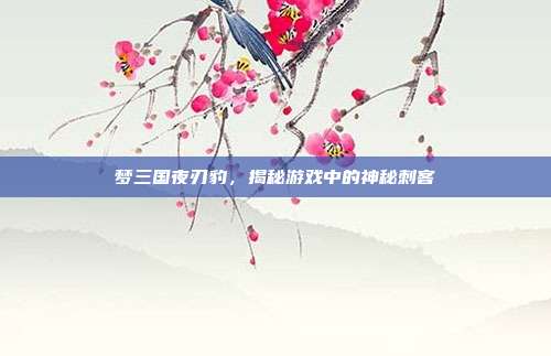 梦三国夜刃豹,揭秘游戏中的神秘刺客