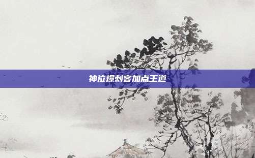 神泣爆刺客加点王道