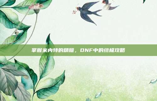 掌握米内特的精髓,DNF中的终极攻略