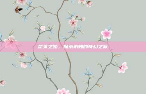 昆莱之路，探索未知的奇幻之旅