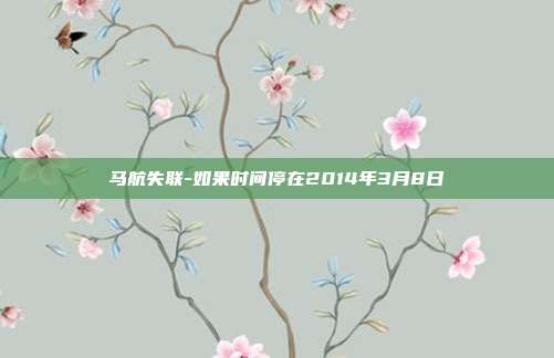 马航失联-如果时间停在2014年3月8日