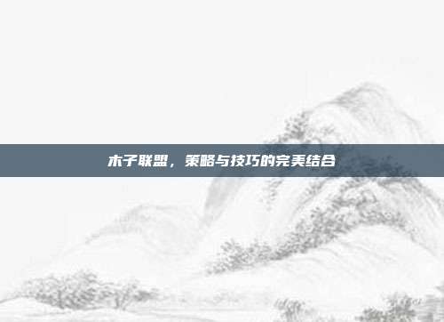 木子联盟,策略与技巧的完美结合