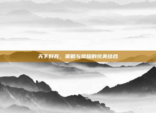 天下好兵,策略与荣耀的完美结合