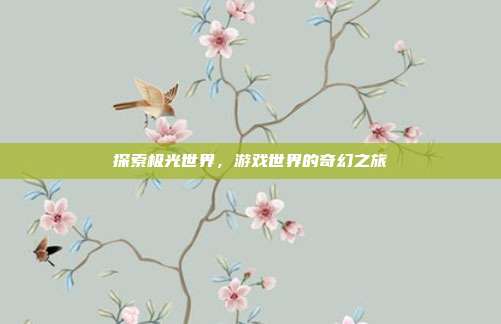 探索极光世界，游戏世界的奇幻之旅