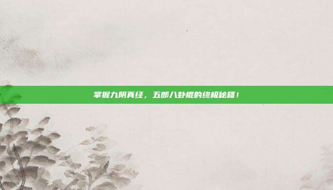 掌握九阴真经，五郎八卦棍的终极秘籍！