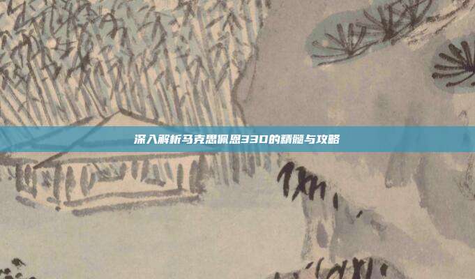 深入解析马克思佩恩33D的精髓与攻略