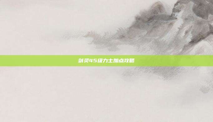 剑灵45级力士加点攻略
