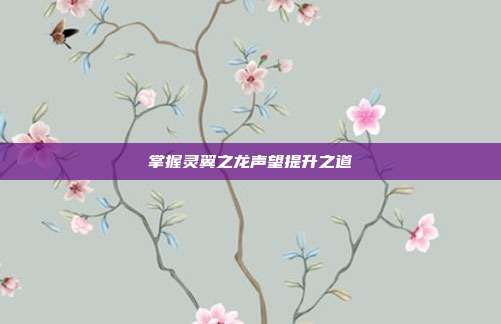 掌握灵翼之龙声望提升之道