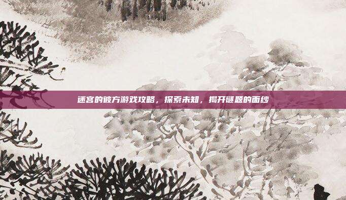 迷宫的彼方游戏攻略，探索未知，揭开谜题的面纱