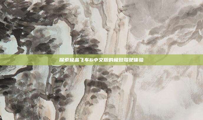 探索极品飞车6中文版的极致驾驶体验