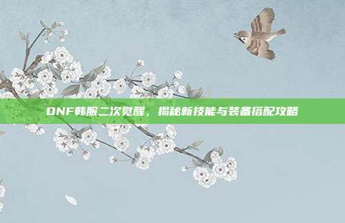 DNF韩服二次觉醒，揭秘新技能与装备搭配攻略