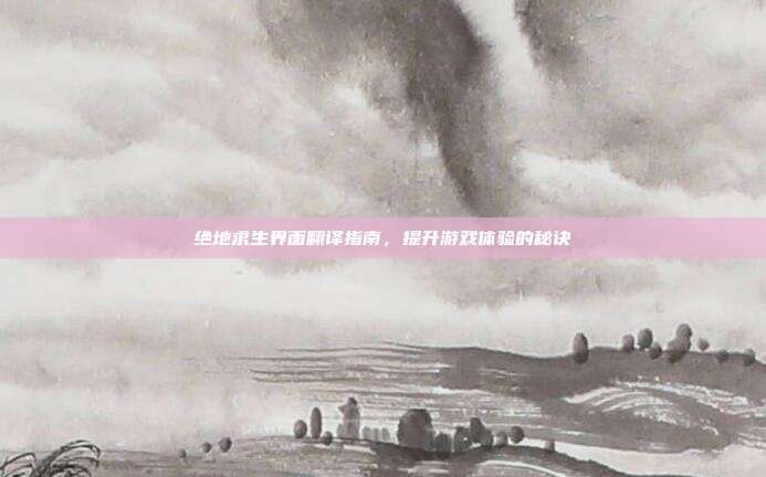 绝地求生界面翻译指南，提升游戏体验的秘诀