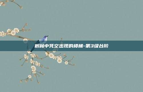 树林中凭空出现的楼梯-第3级台阶